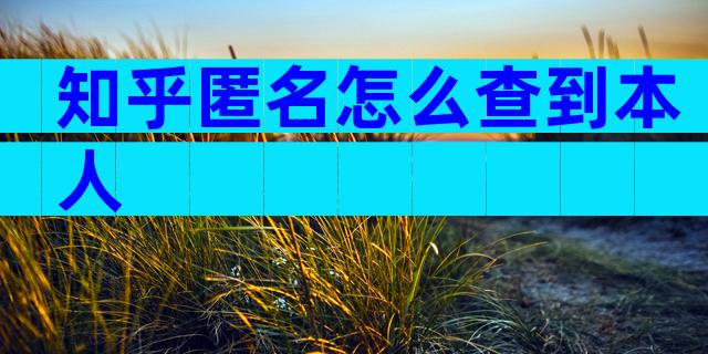 知乎匿名怎么查到本人