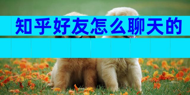 知乎好友怎么聊天的