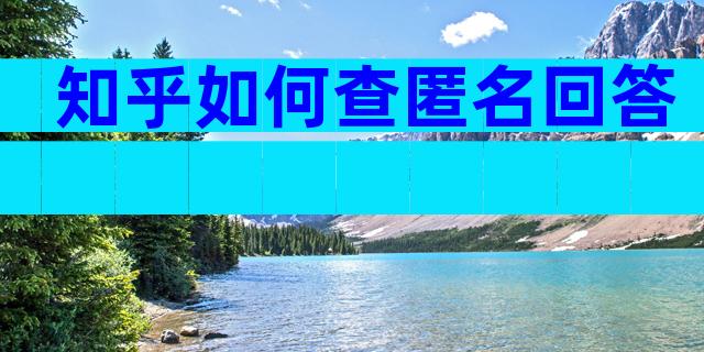 知乎如何查匿名回答