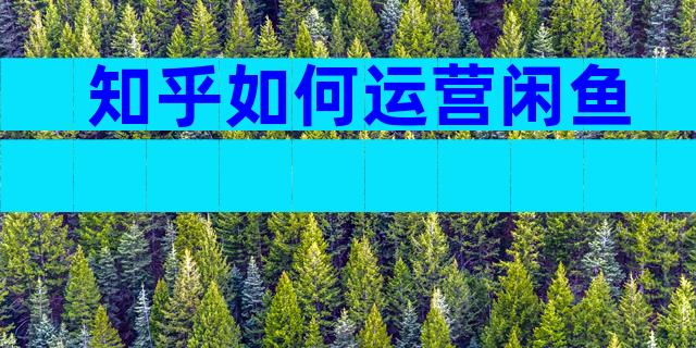 知乎如何运营闲鱼