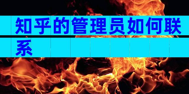 知乎的管理员如何联系