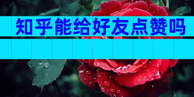 知乎能给好友点赞吗