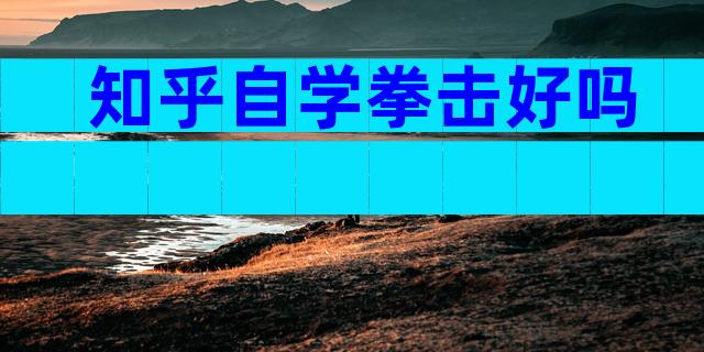 知乎自学拳击好吗