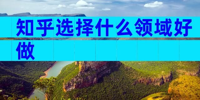 知乎选择什么领域好做