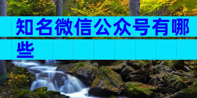 知名微信公众号有哪些