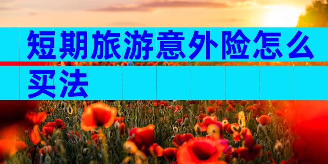 短期旅游意外险怎么买法