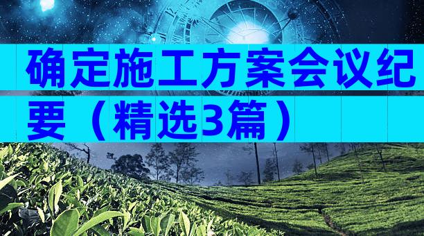 确定施工方案会议纪要（精选3篇）
