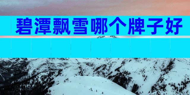 碧潭飘雪哪个牌子好