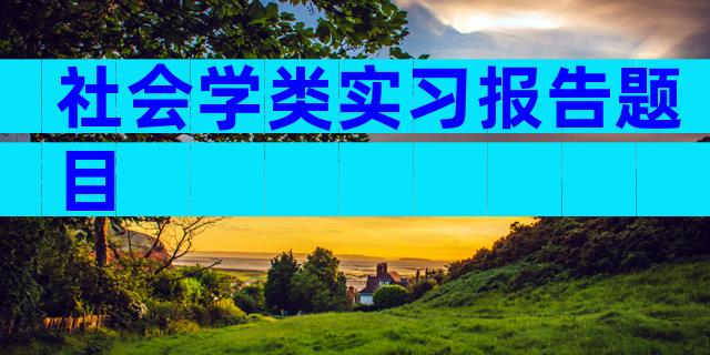 社会学类实习报告题目