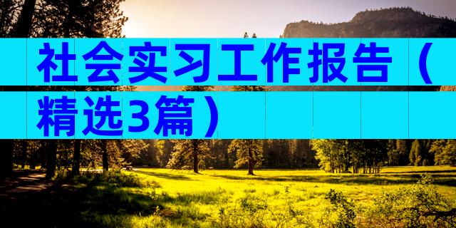 社会实习工作报告（精选3篇）