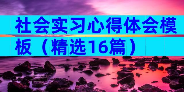 社会实习心得体会模板（精选16篇）