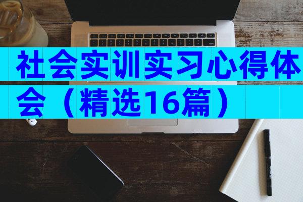 社会实训实习心得体会（精选16篇）