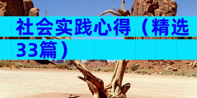 社会实践心得（精选33篇）