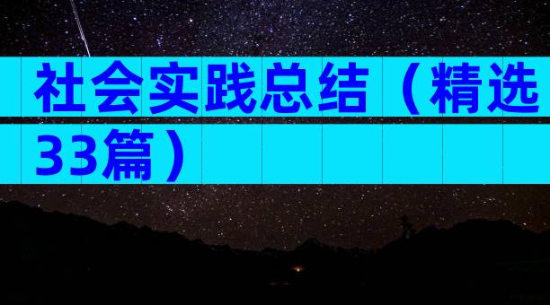 社会实践总结（精选33篇）