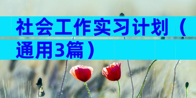 社会工作实习计划（通用3篇）