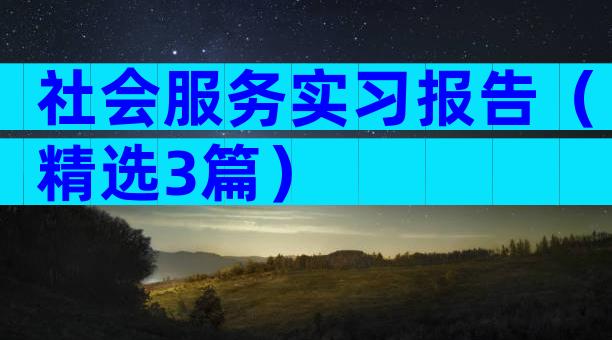 社会服务实习报告（精选3篇）