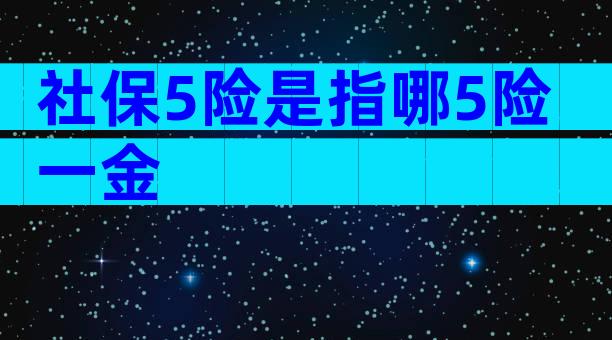 社保5险是指哪5险一金