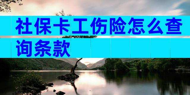 社保卡工伤险怎么查询条款