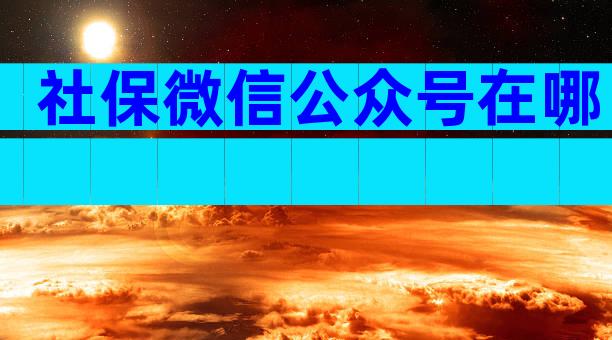 社保微信公众号在哪