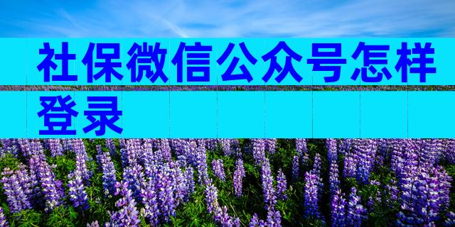 社保微信公众号怎样登录