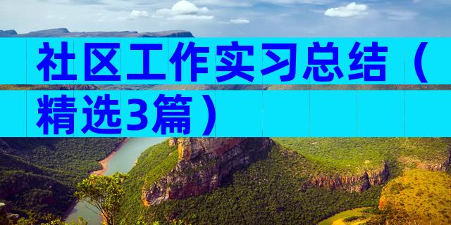 社区工作实习总结（精选3篇）
