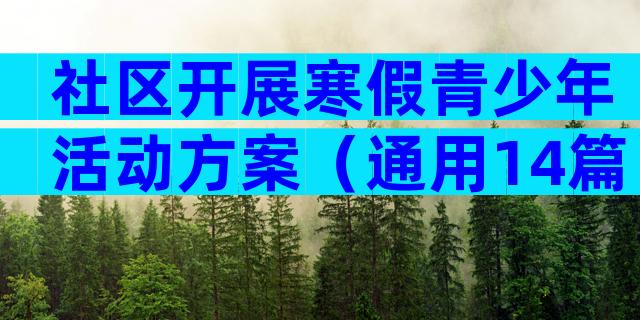 社区开展寒假青少年活动方案（通用14篇）