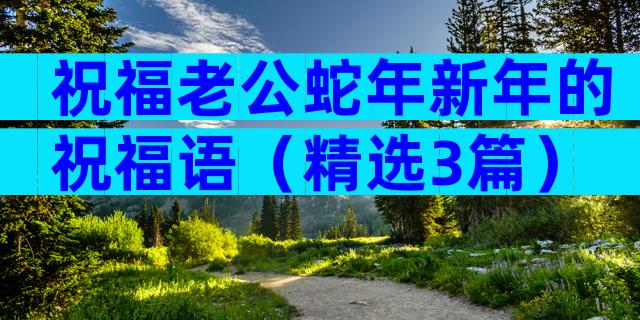 祝福老公蛇年新年的祝福语（精选3篇）