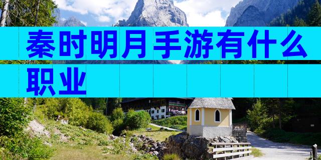 秦时明月手游有什么职业