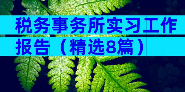 税务事务所实习工作报告（精选8篇）