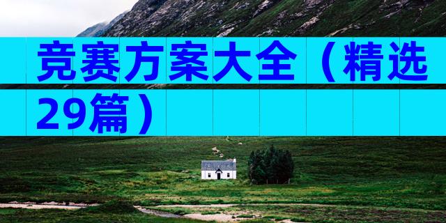 竞赛方案大全（精选29篇）