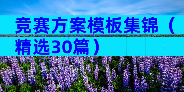 竞赛方案模板集锦（精选30篇）