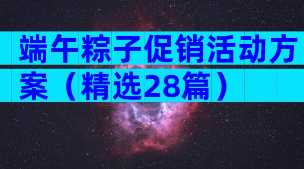 端午粽子促销活动方案（精选28篇）
