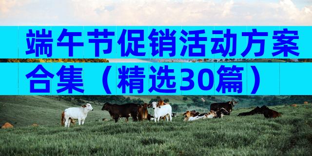 端午节促销活动方案合集（精选30篇）