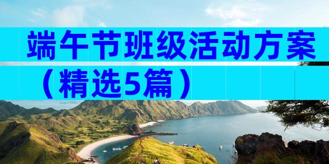 端午节班级活动方案（精选5篇）