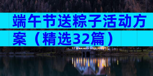端午节送粽子活动方案（精选32篇）