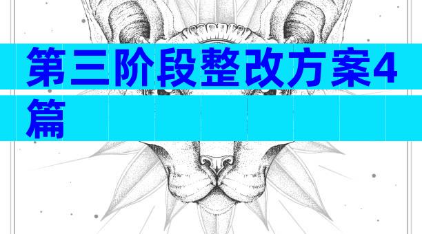 第三阶段整改方案4篇