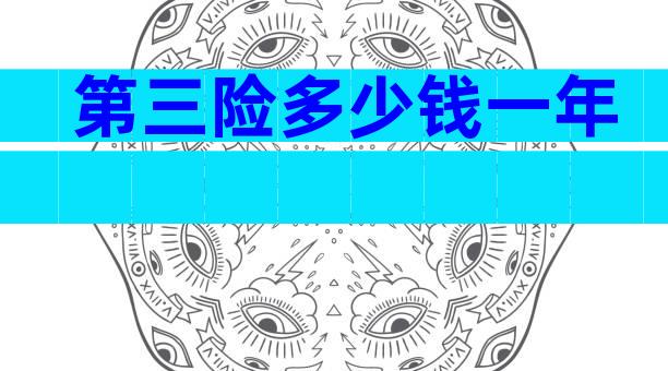第三险多少钱一年