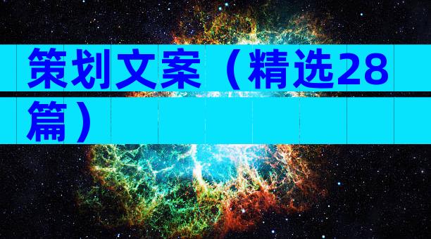 策划文案（精选28篇）