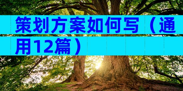 策划方案如何写（通用12篇）