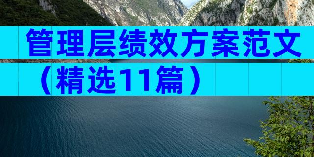 管理层绩效方案范文（精选11篇）