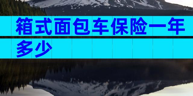 箱式面包车保险一年多少