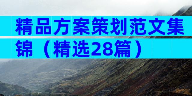 精品方案策划范文集锦（精选28篇）