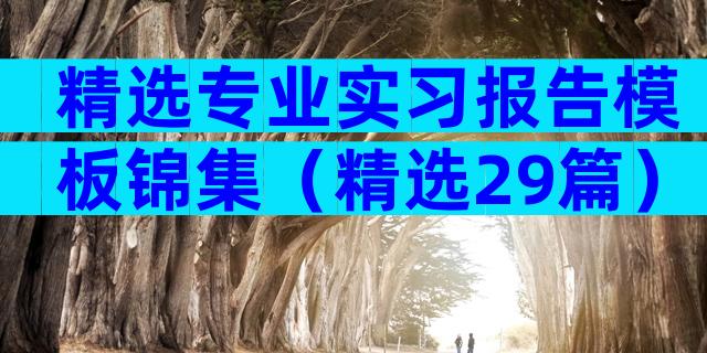 精选专业实习报告模板锦集（精选29篇）