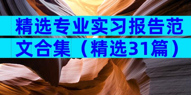 精选专业实习报告范文合集（精选31篇）