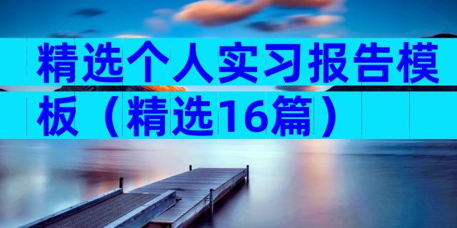 精选个人实习报告模板（精选16篇）