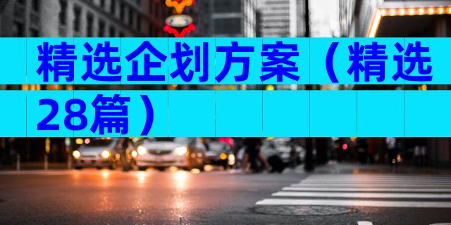 精选企划方案（精选28篇）