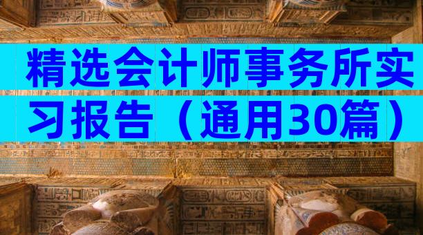 精选会计师事务所实习报告（通用30篇）
