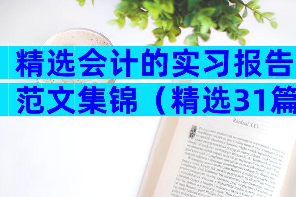 精选会计的实习报告范文集锦（精选31篇）