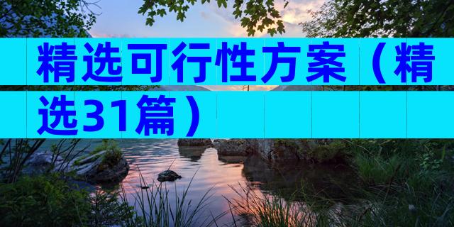 精选可行性方案（精选31篇）