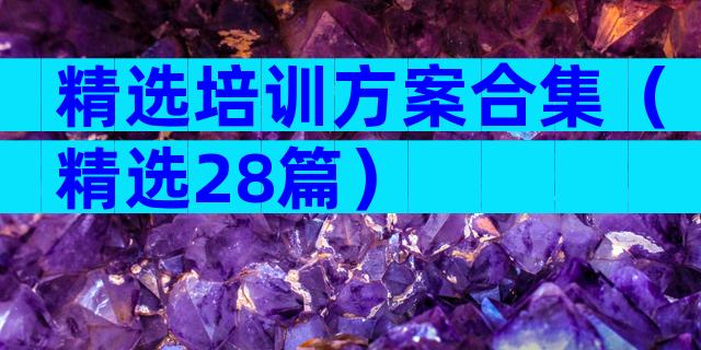 精选培训方案合集（精选28篇）